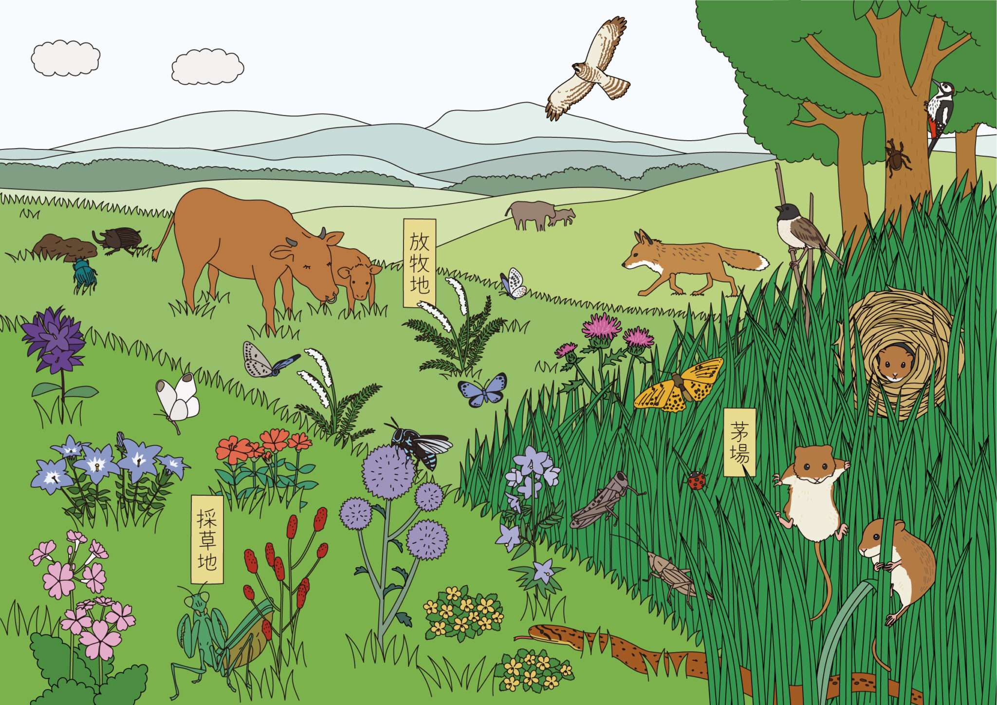 花来探知