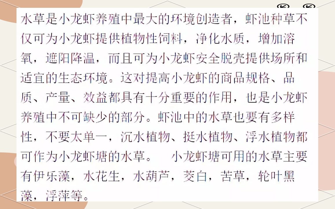 养龙虾技术