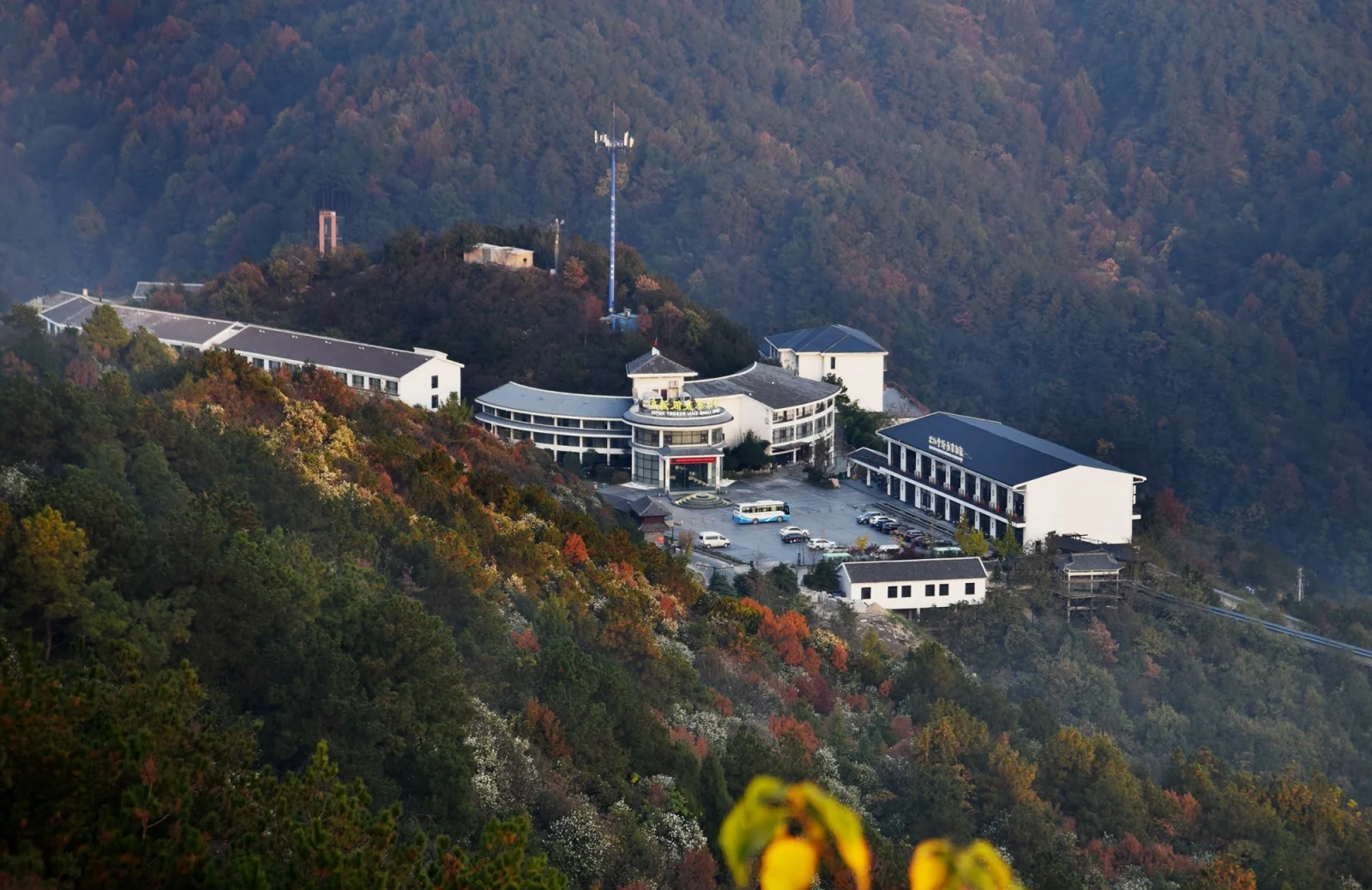 上海大学生喝茶指南：从VX入门到进阶玩法