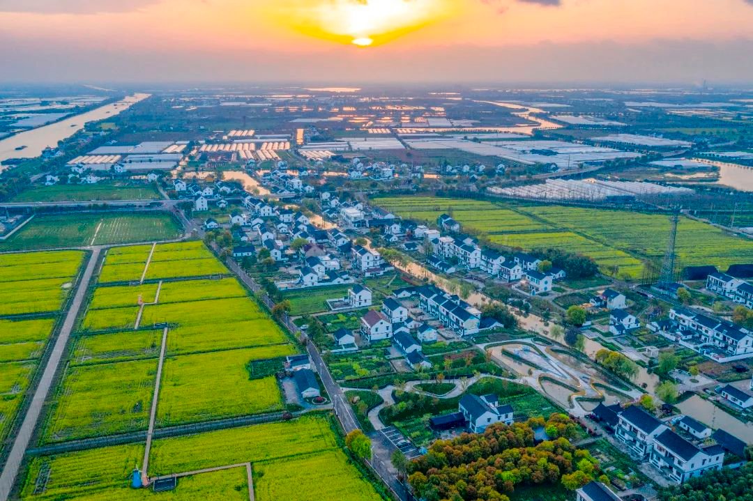 汽车租赁案例网站