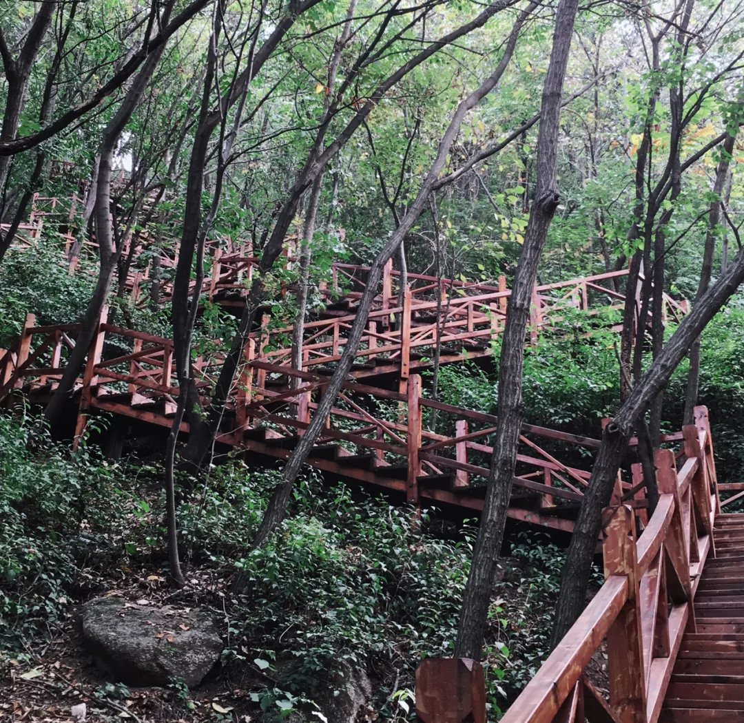 最新证券行情分析,南通晚上可以逛的地方有哪些值得探索的隐藏好去处？