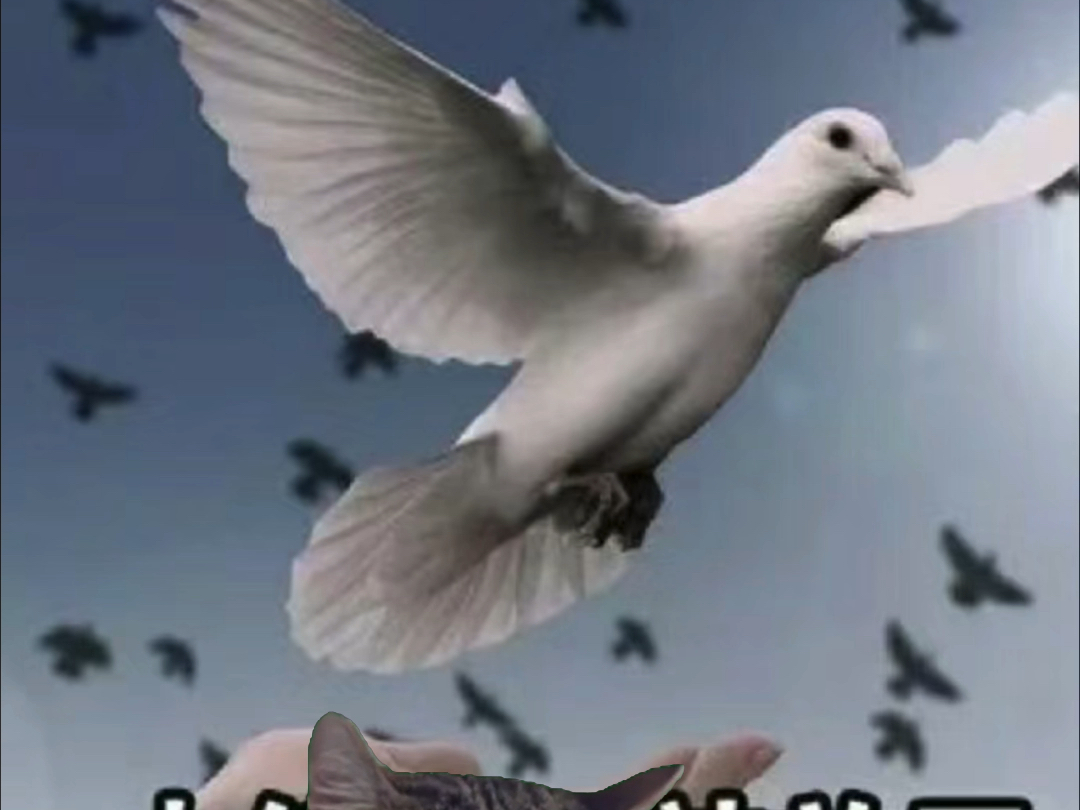 异地约见总被放鸽子？三大保障帮你省70%沟通成本