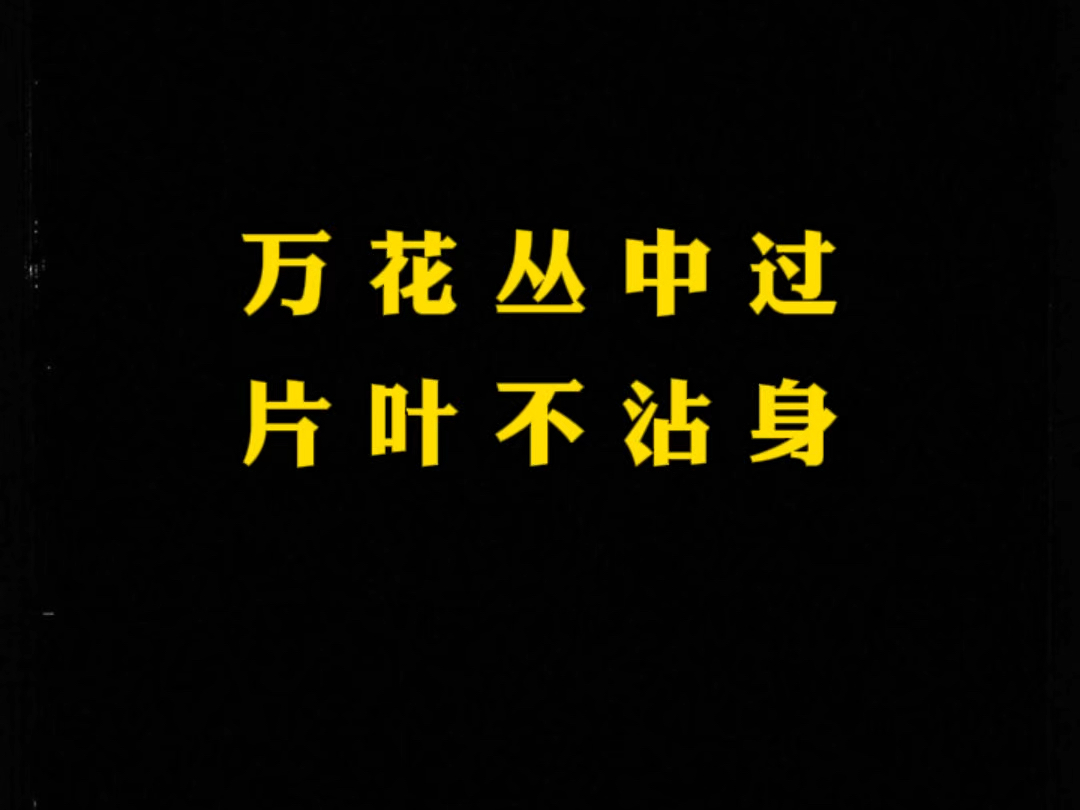 百花丛入门指南:轻松搞懂养花那些事儿