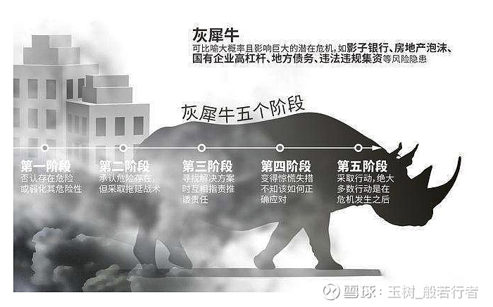 灰犀牛风险是什么意思 如何防范房地产灰犀牛事件