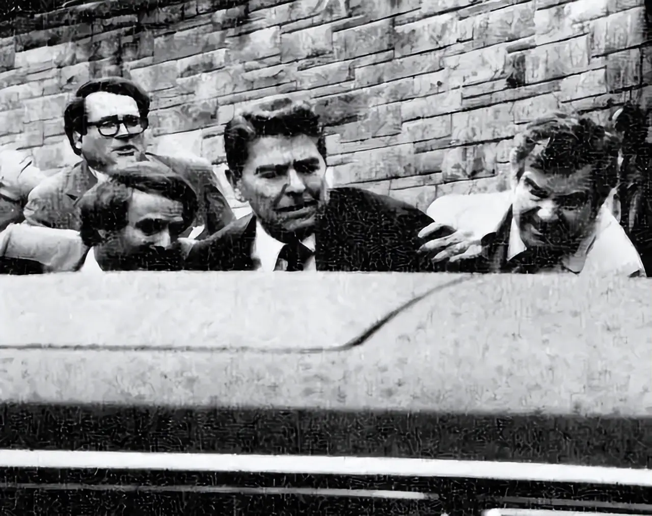 总统与第一宠物之间有什么趣事?...