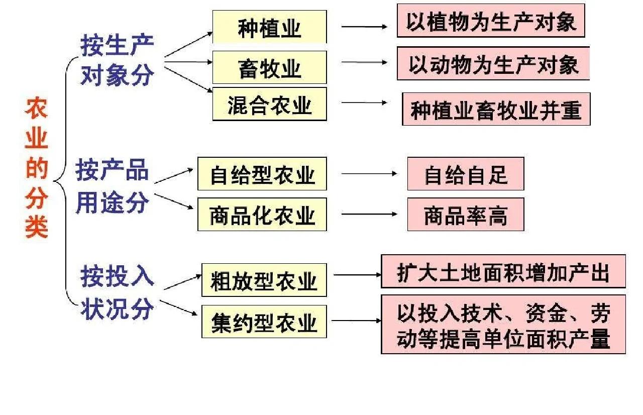 新型农业经营主体都有哪些 专业大户家庭农场特点解析