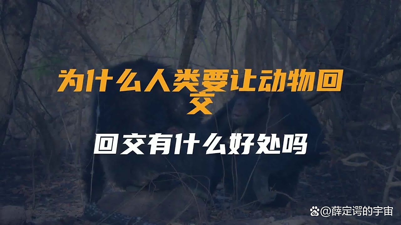 动物回交育种 回交真的存在伦理问题吗