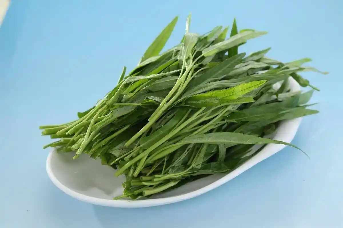 立夏养生,哪10种蔬菜清热解暑?...
