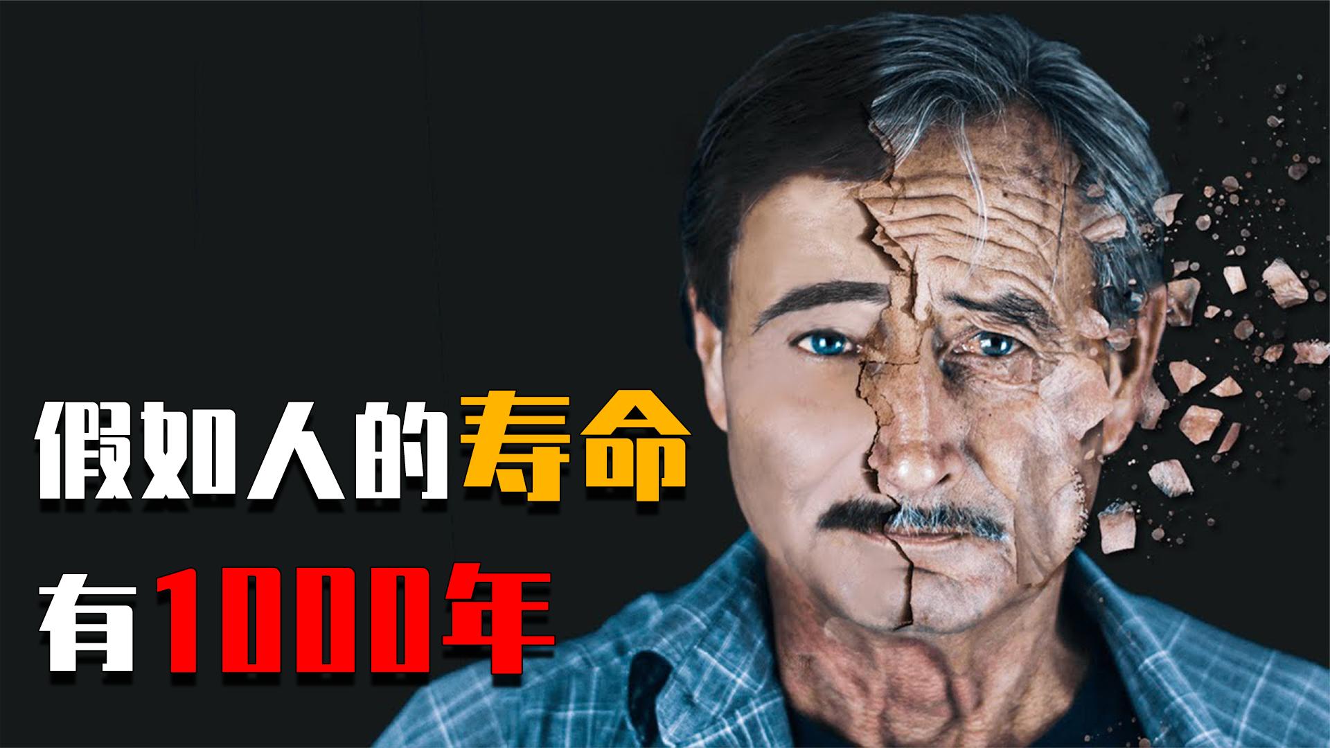150元能在小县城城中村活多久？揭秘低生存成本的市井江湖