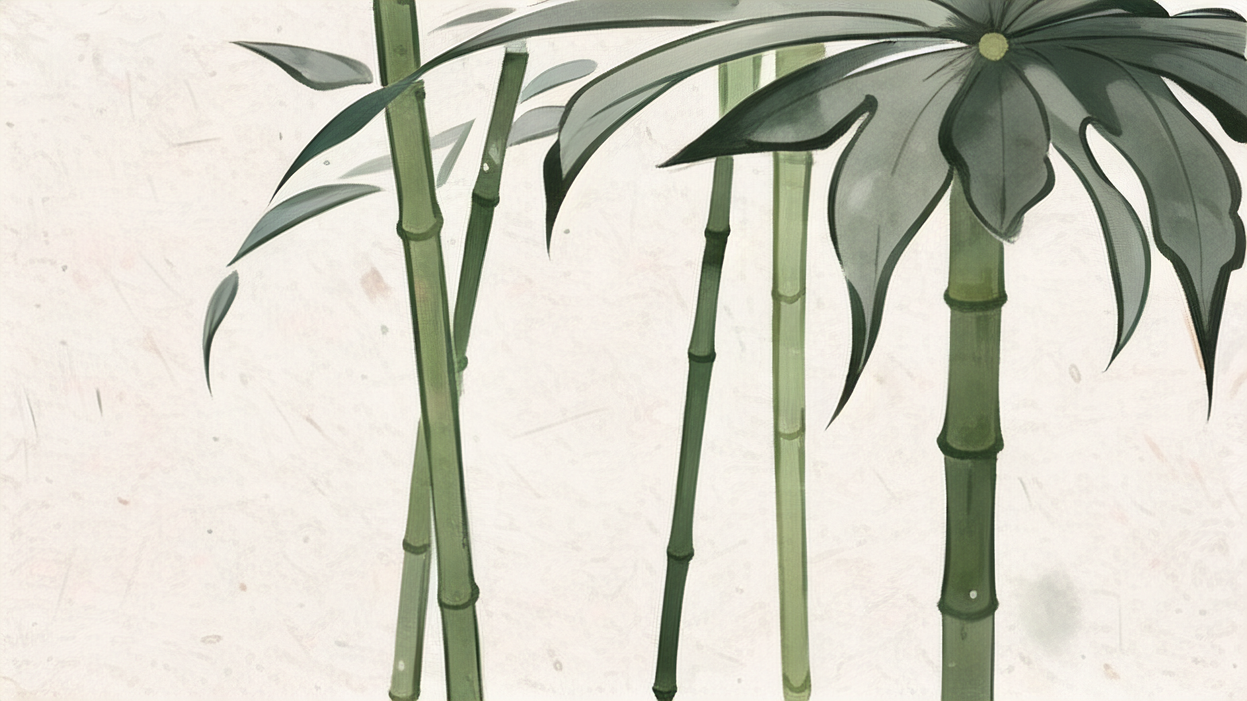 植物品格与花卉知识 鲜花美食文化探索