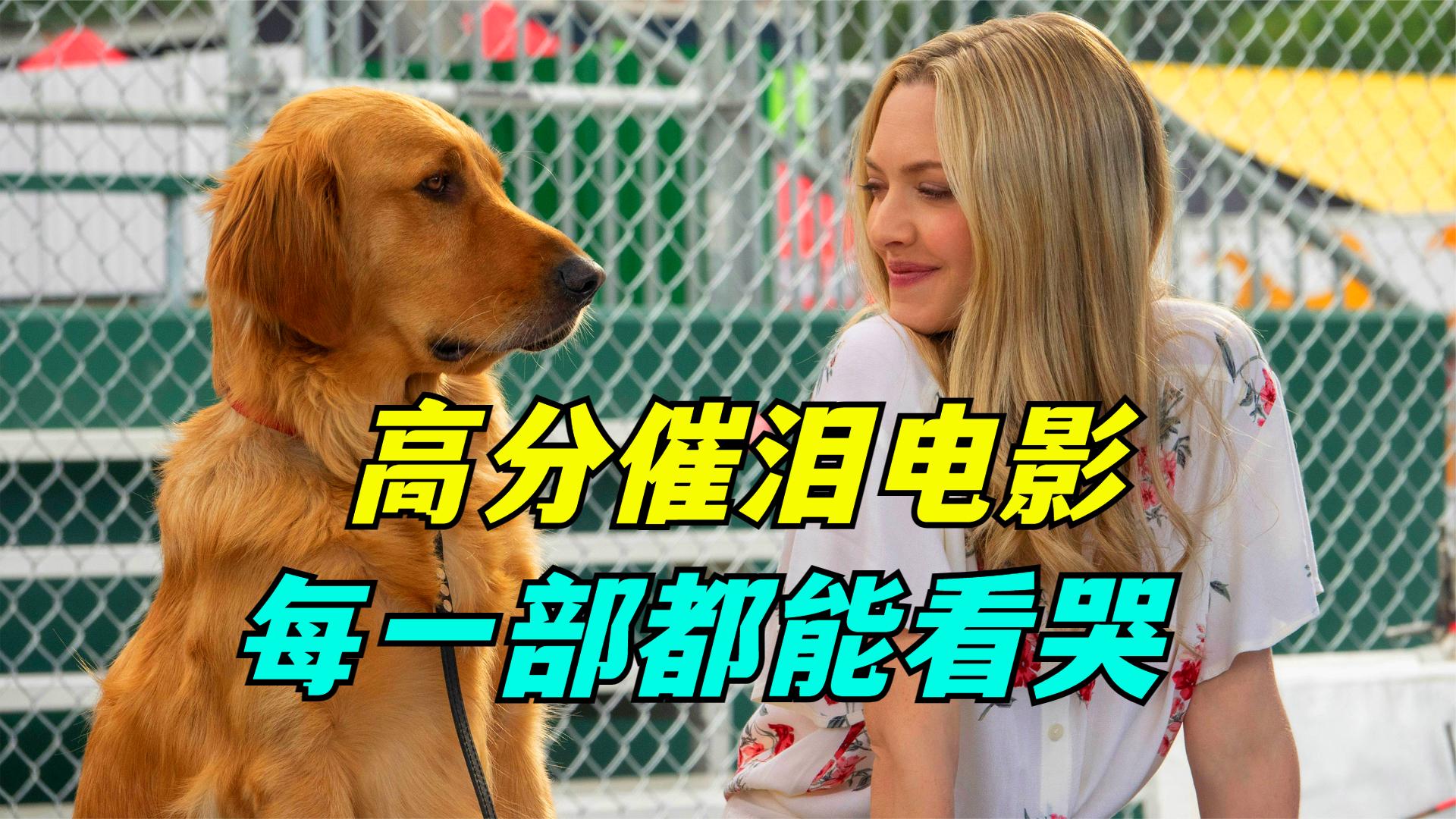 感人电影排行榜前十名 外国人如何过春节