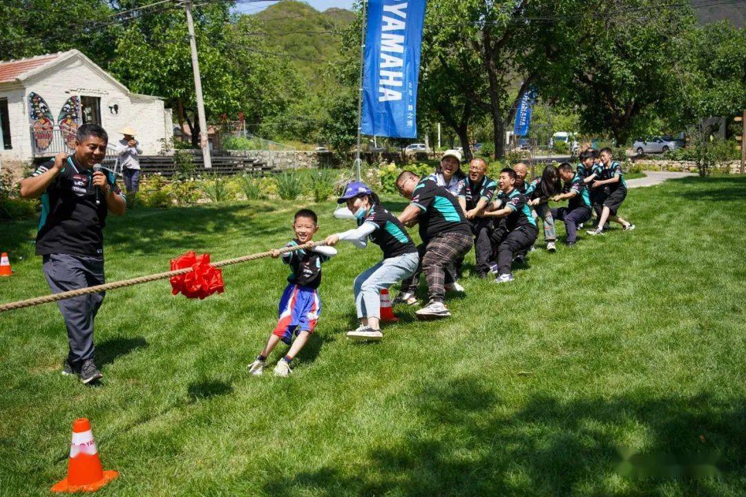 网络互动营销 案例