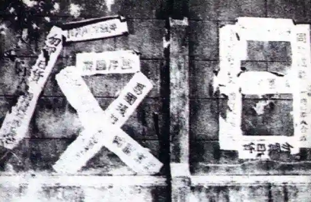 那些被日本人“蠢哭”的瞬间...