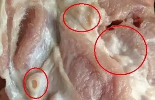 米猪肉