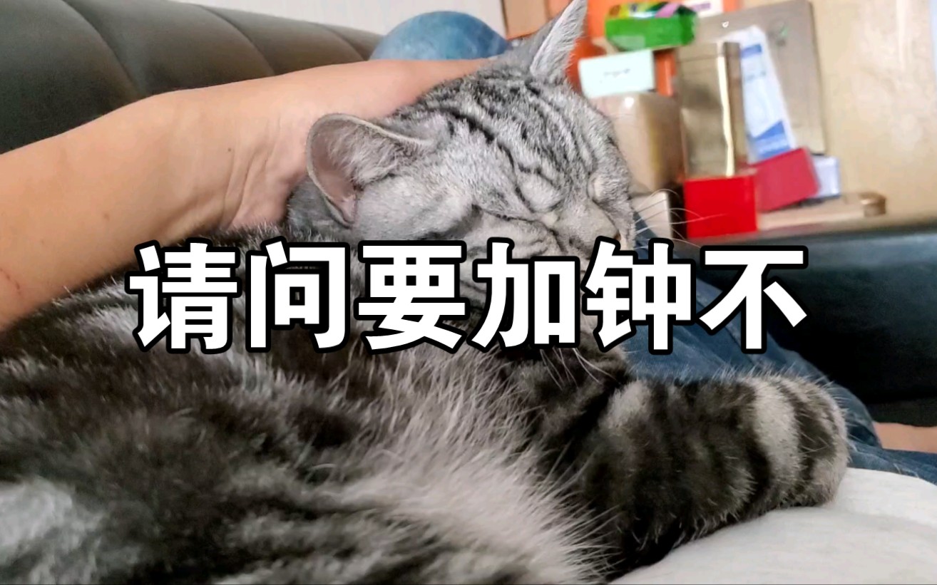 加钟服务选择指南:口头沟通还是直接付3500?