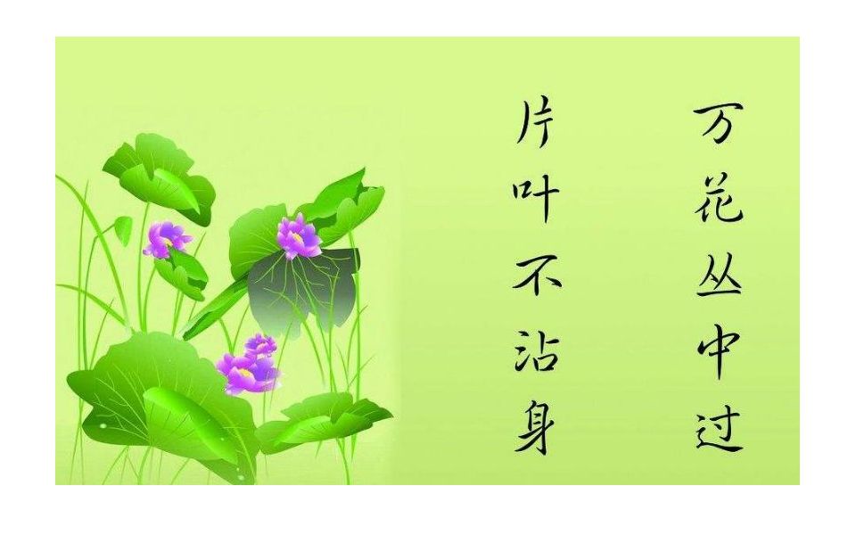 百花丛入门指南:轻松搞懂养花那些事儿