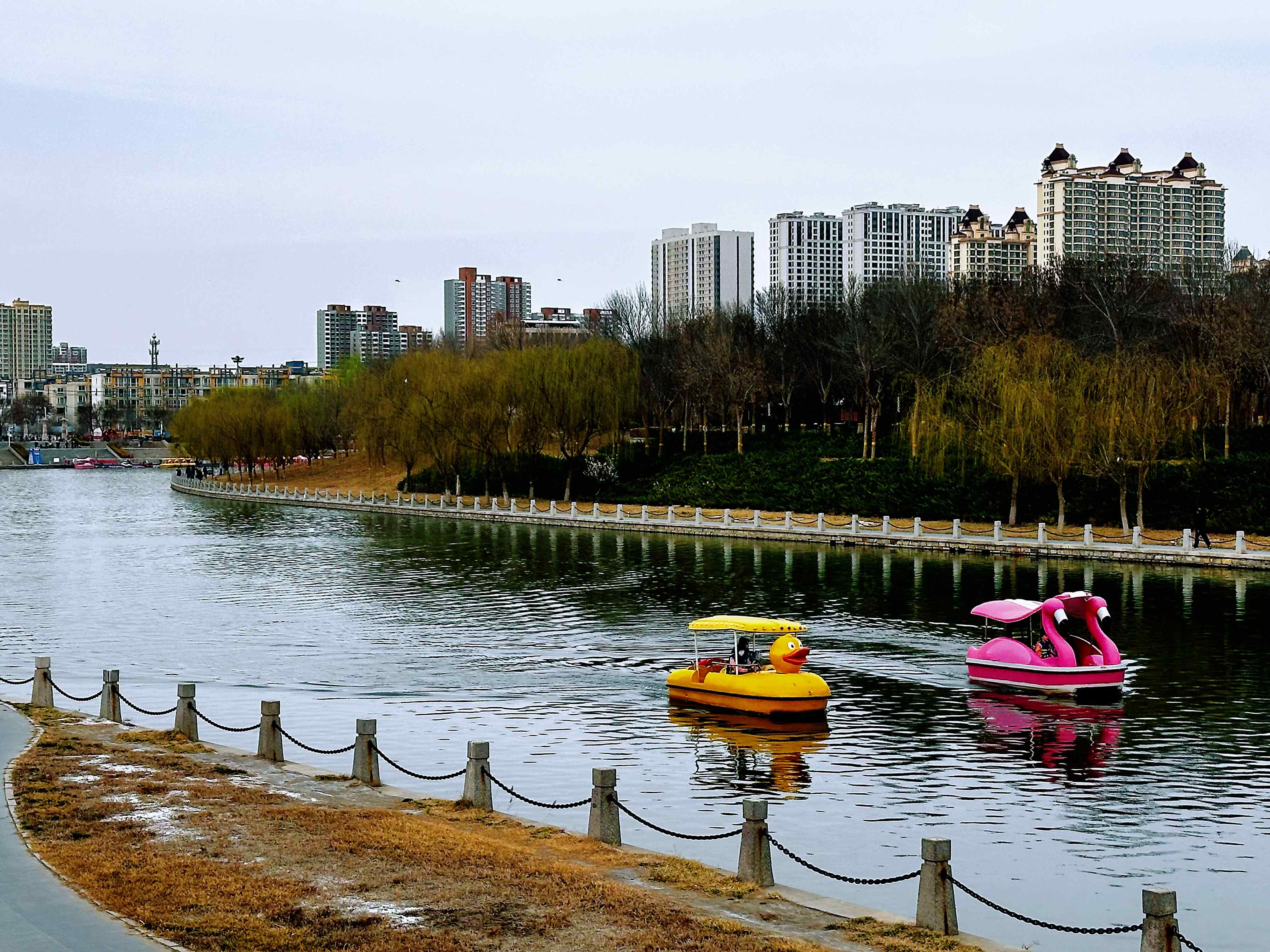 衡水上课资源喝茶