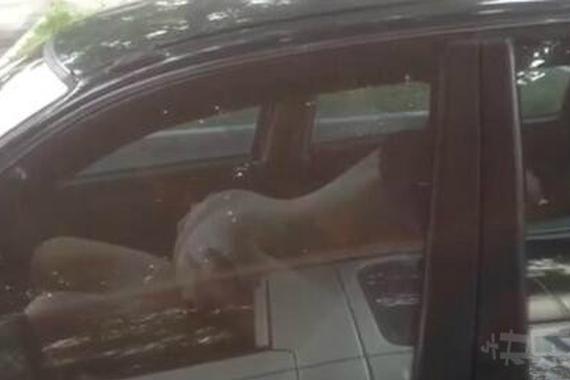 根据消息来源透露：日皮女啪啪啪啪啪啪啪啪：到底在说什么？我彻底搞懂了