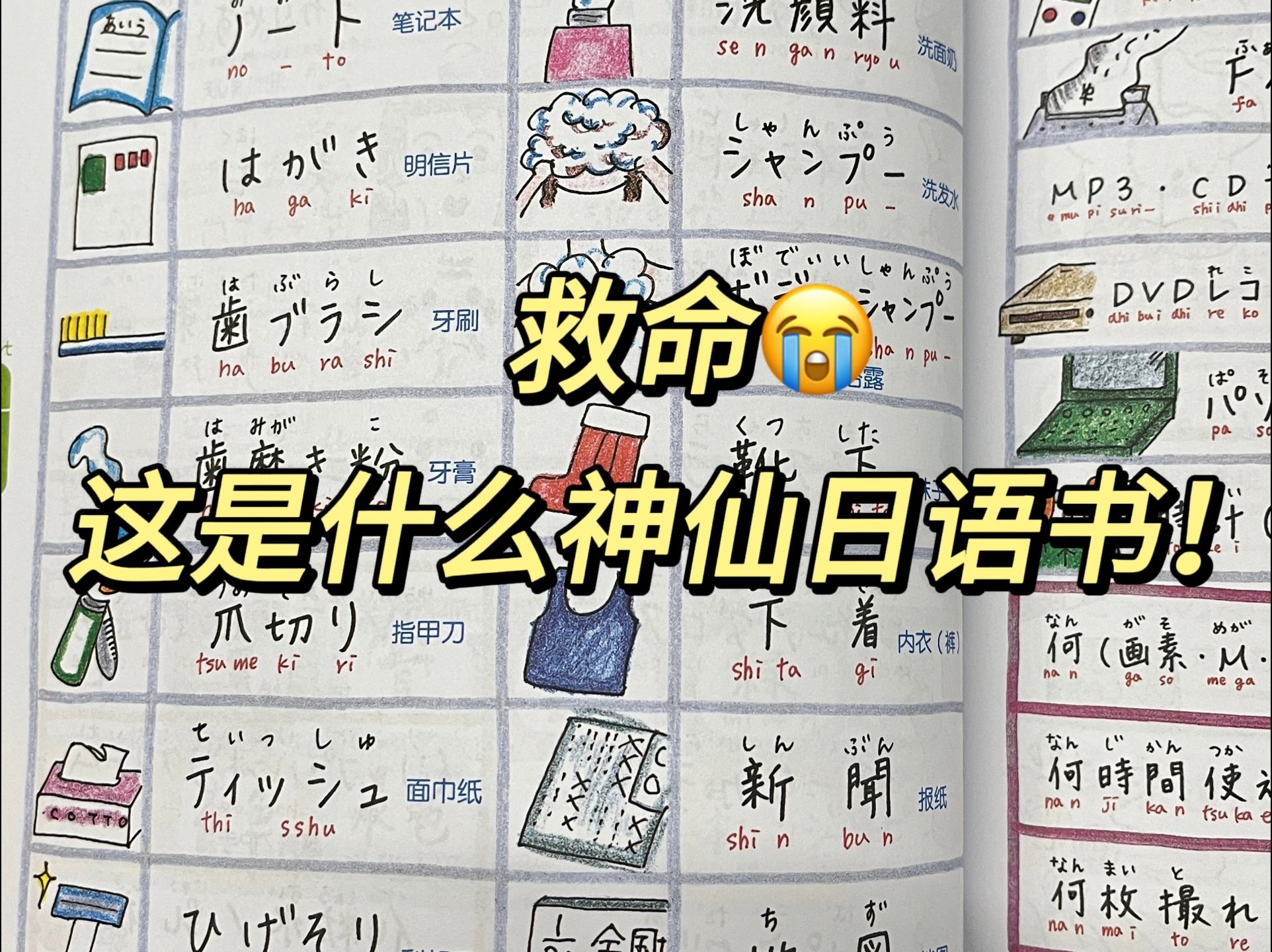 去日本留学,不学日语可不可以?当然可以!...