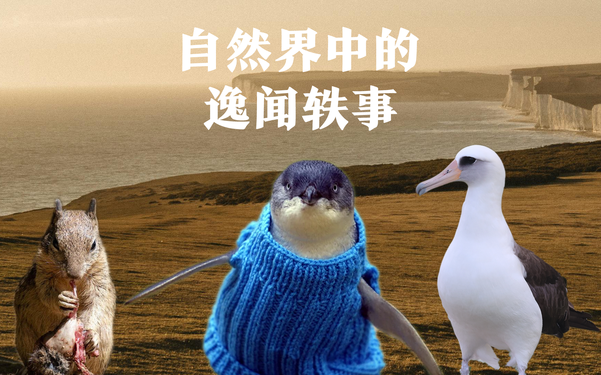 逸闻趣事什么意思 逸闻趣事与轶闻趣事区别