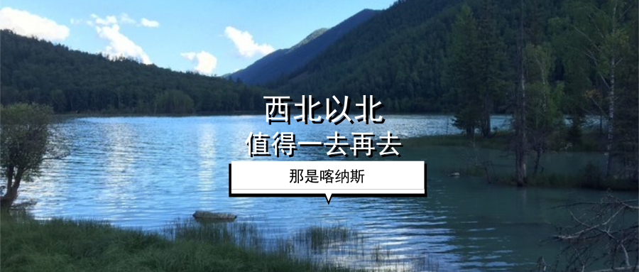 杭州喝茶好去处：从西湖龙井到市井茶香的深度指南