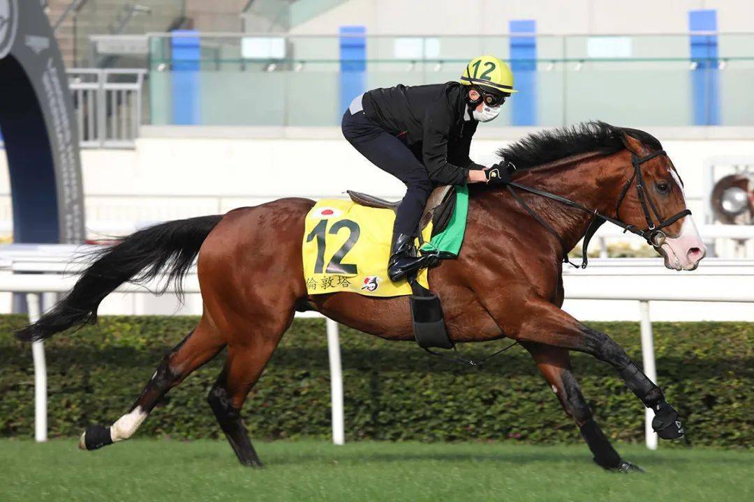 直击现场报道:小红书约妹联系方式详解|避坑指南与实测方法分享🔥