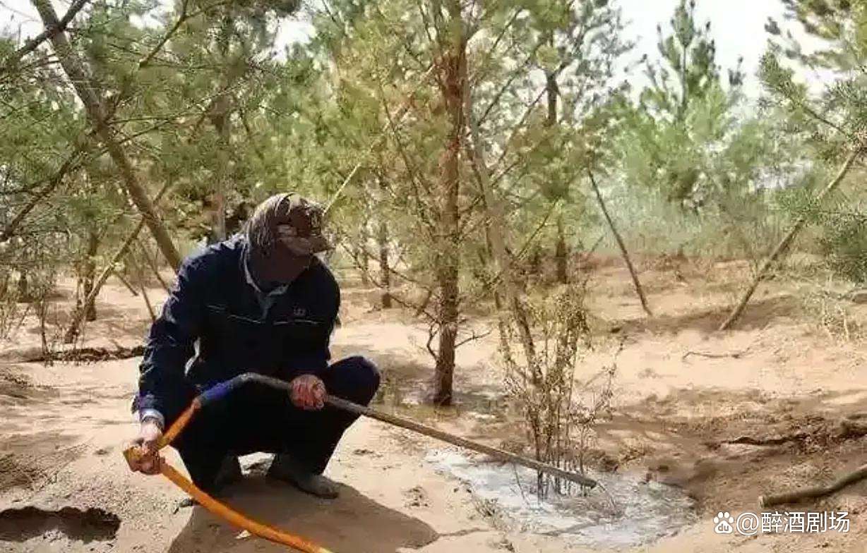 可以吃的塑料袋的发明者:简单是最好的解决办法...