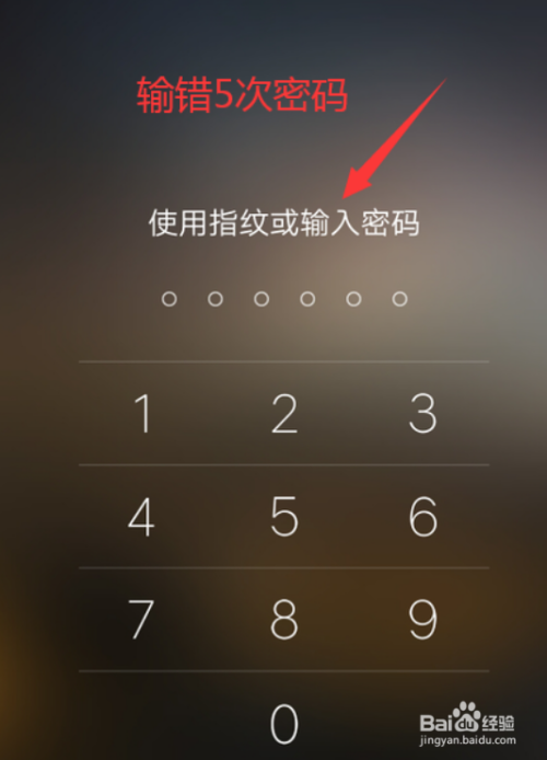 一品楼论坛官网深度解析,探寻古典建筑与现代网络的融合之道