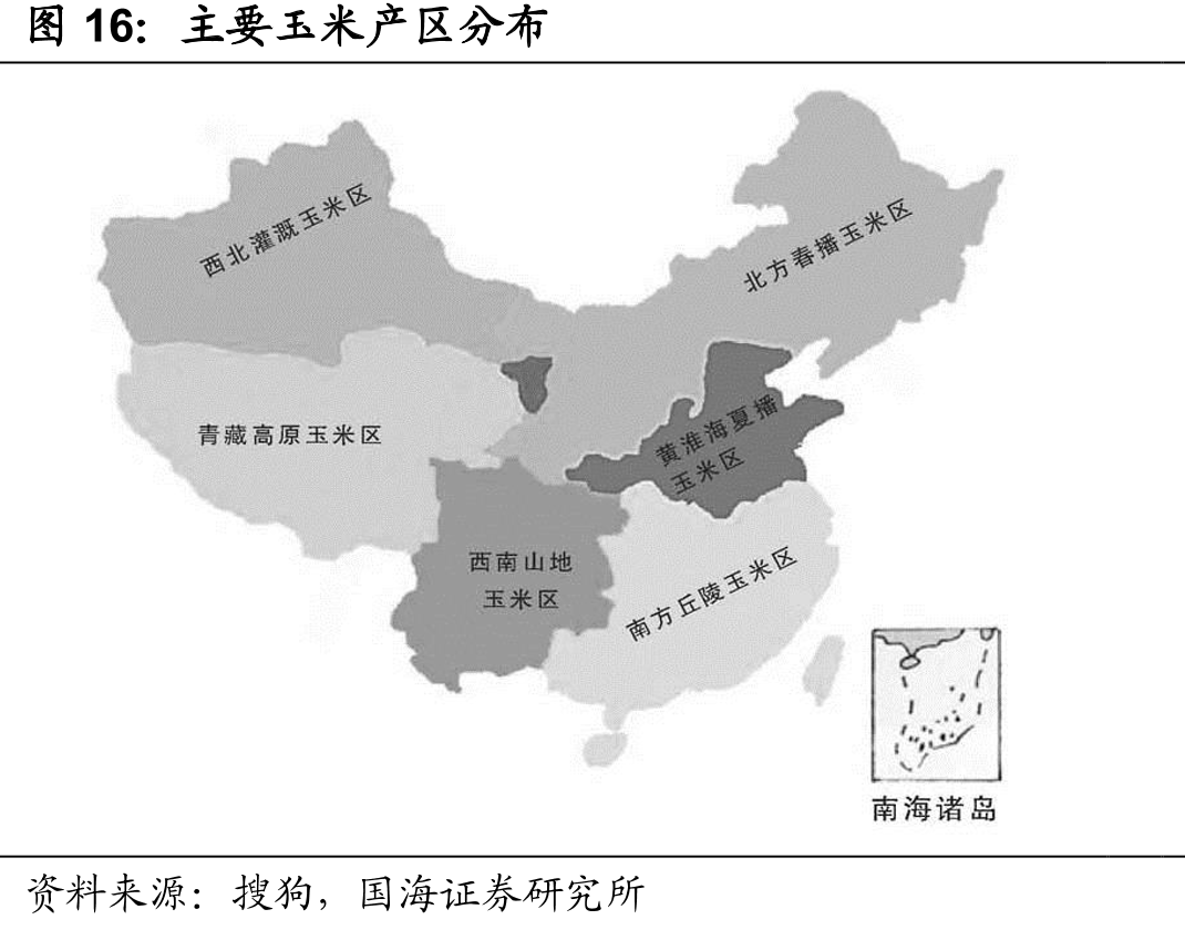 中国玉米主产区有哪些 中国玉米哪里产的最好