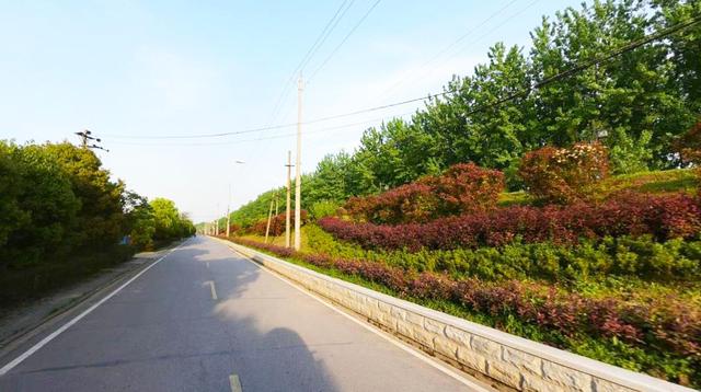 “一分钱”变“一元钱”，经典儿歌改得有没有道理?...