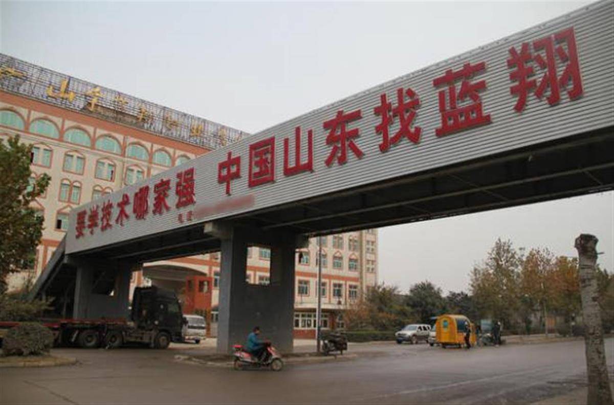 蓝翔就业“神话”的背后真相是什么？...