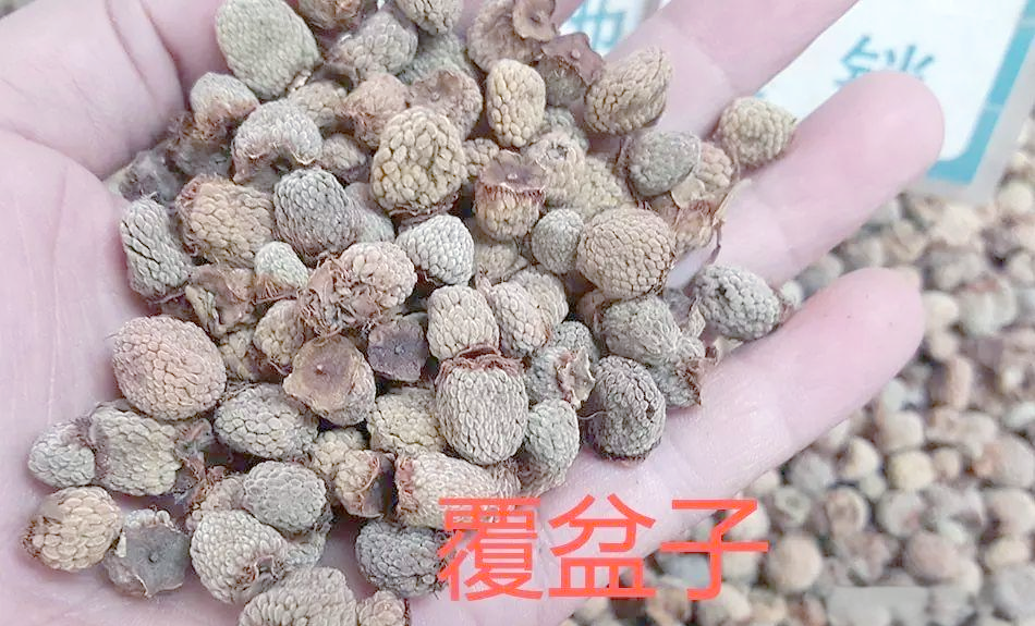 覆盆子价格为什么会有这么大差异 覆盆子价格受哪些因素影响
