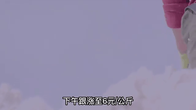籽棉价格