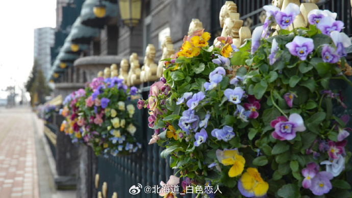 札幌白色恋人公园攻略 梦幻巧克力主题乐园怎么玩