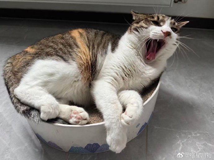 从陌生到联系 当代成年人社交破冰的实用合规指南