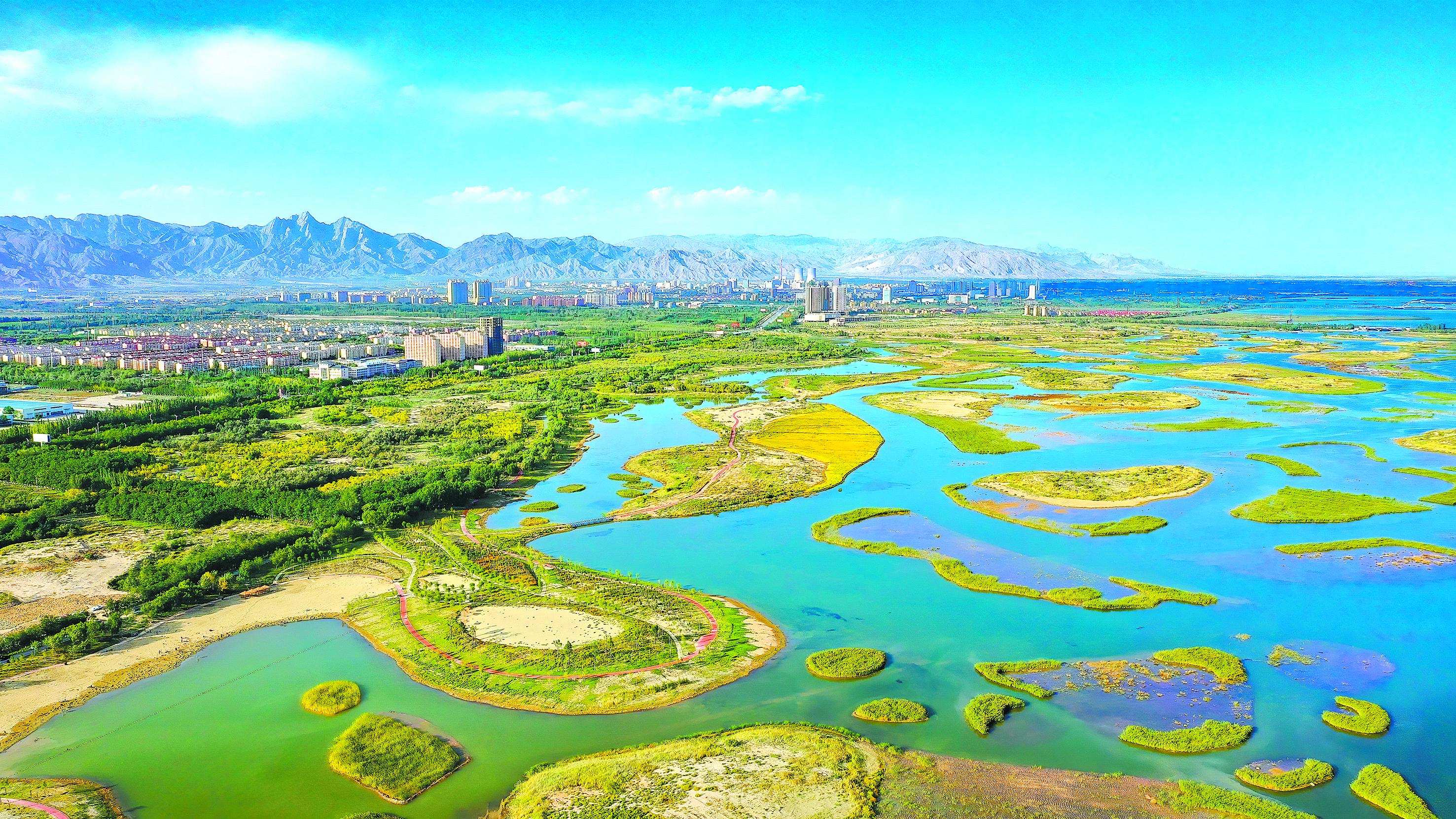 石嘴山品茶自带工作室加v靠谱吗