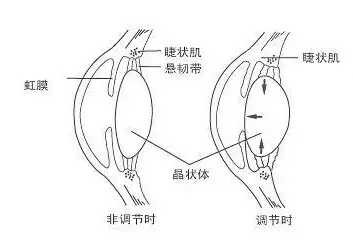 辐辏的诗句和汉族历史上的入侵表现是什么