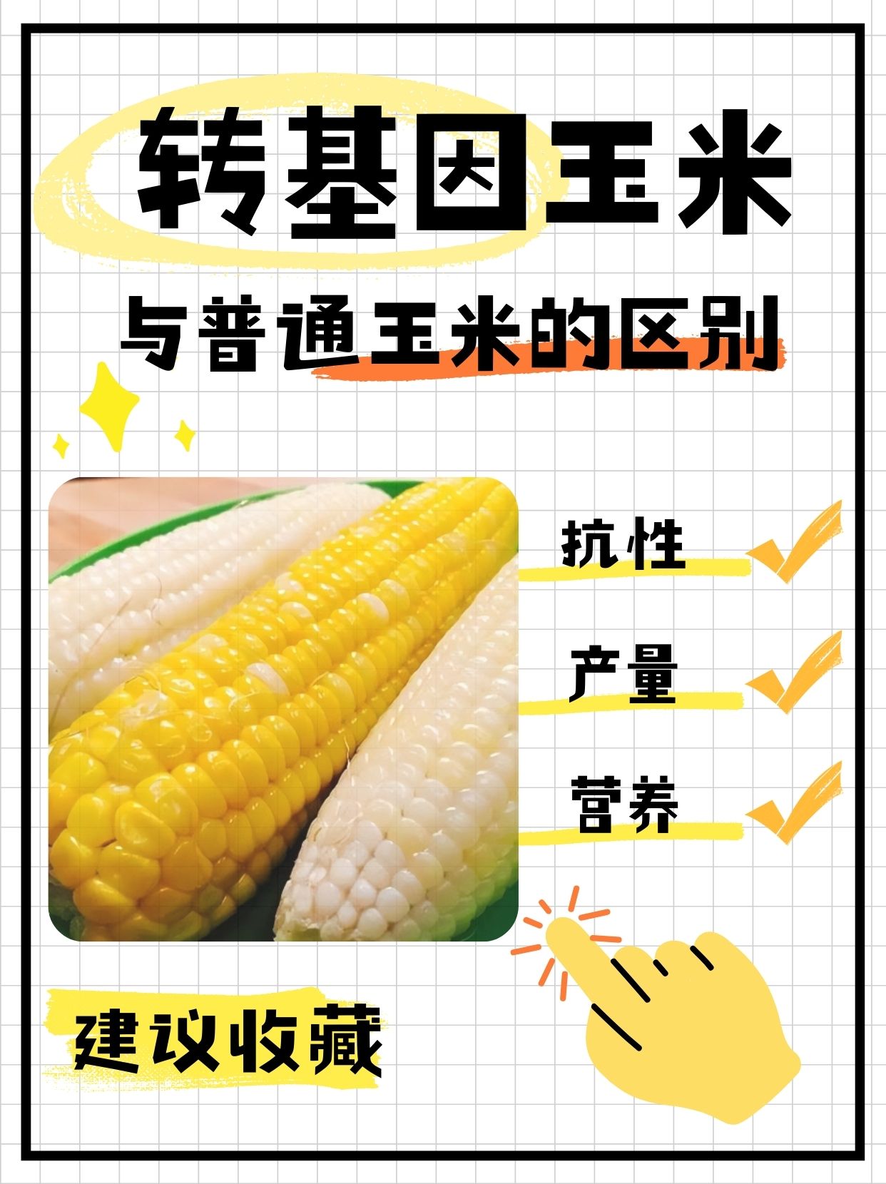 东北粘玉米