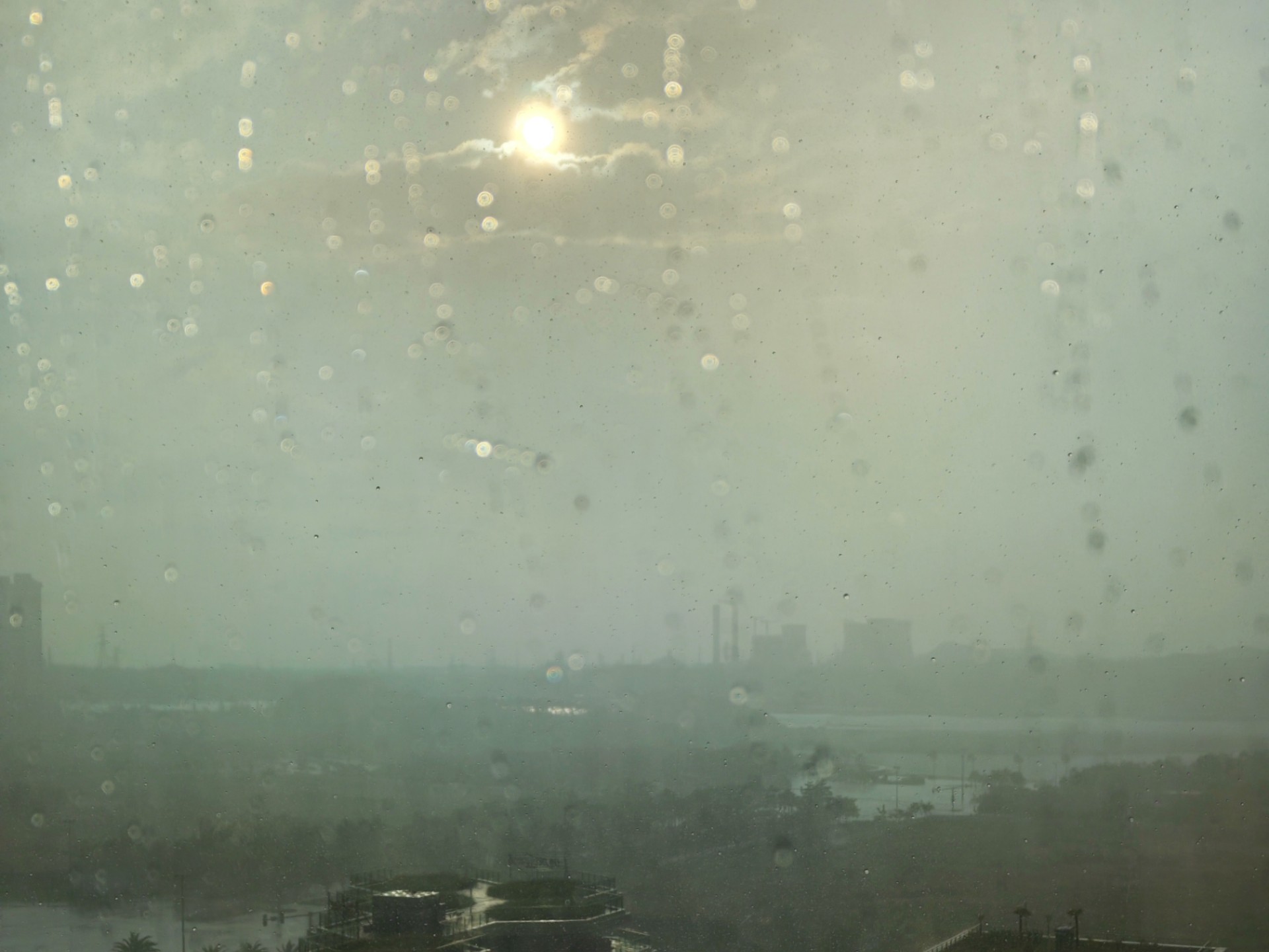 旧中国的名媛学堂 :风流总被雨打风吹去...