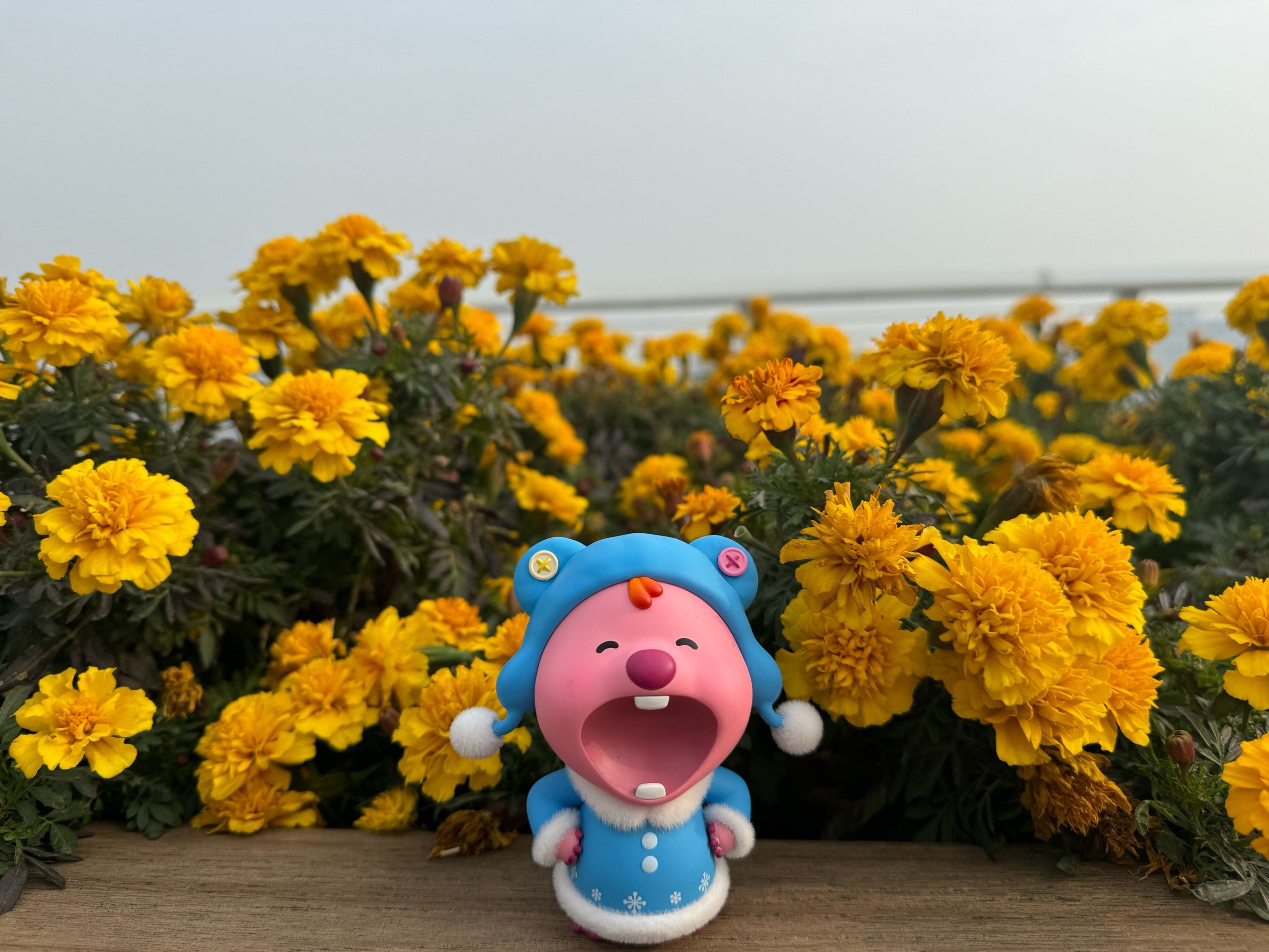 愉悦到家正规吗,深度解析平台资质与用户评价对比