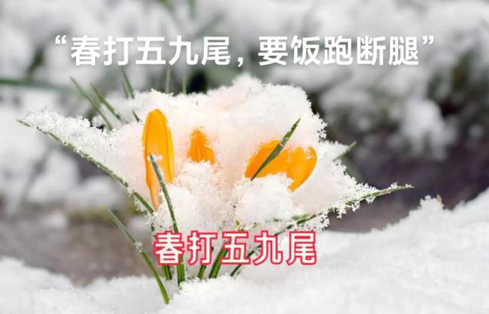 异地办事总跑断腿？全国900城空降服务电话帮你解忧