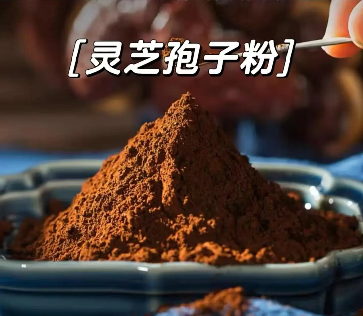 灵芝磨粉食用方法 灵芝功效作用禁忌