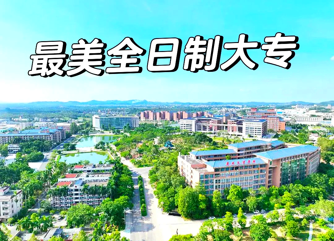 大专