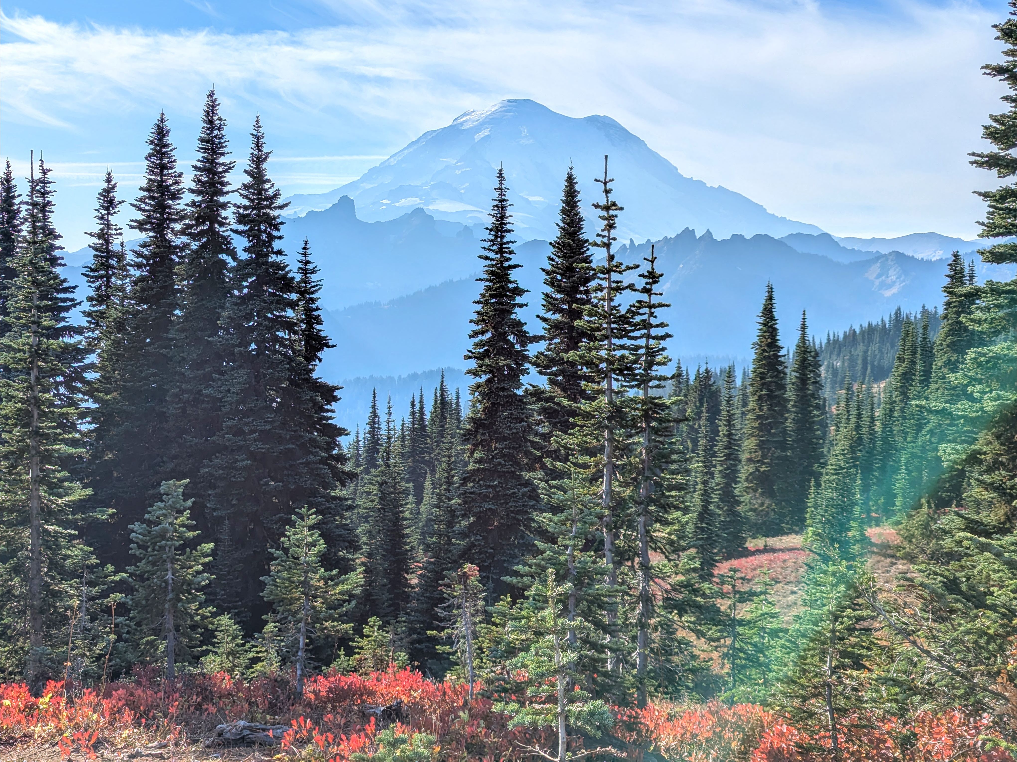 西方政治为何变得“无序”？...