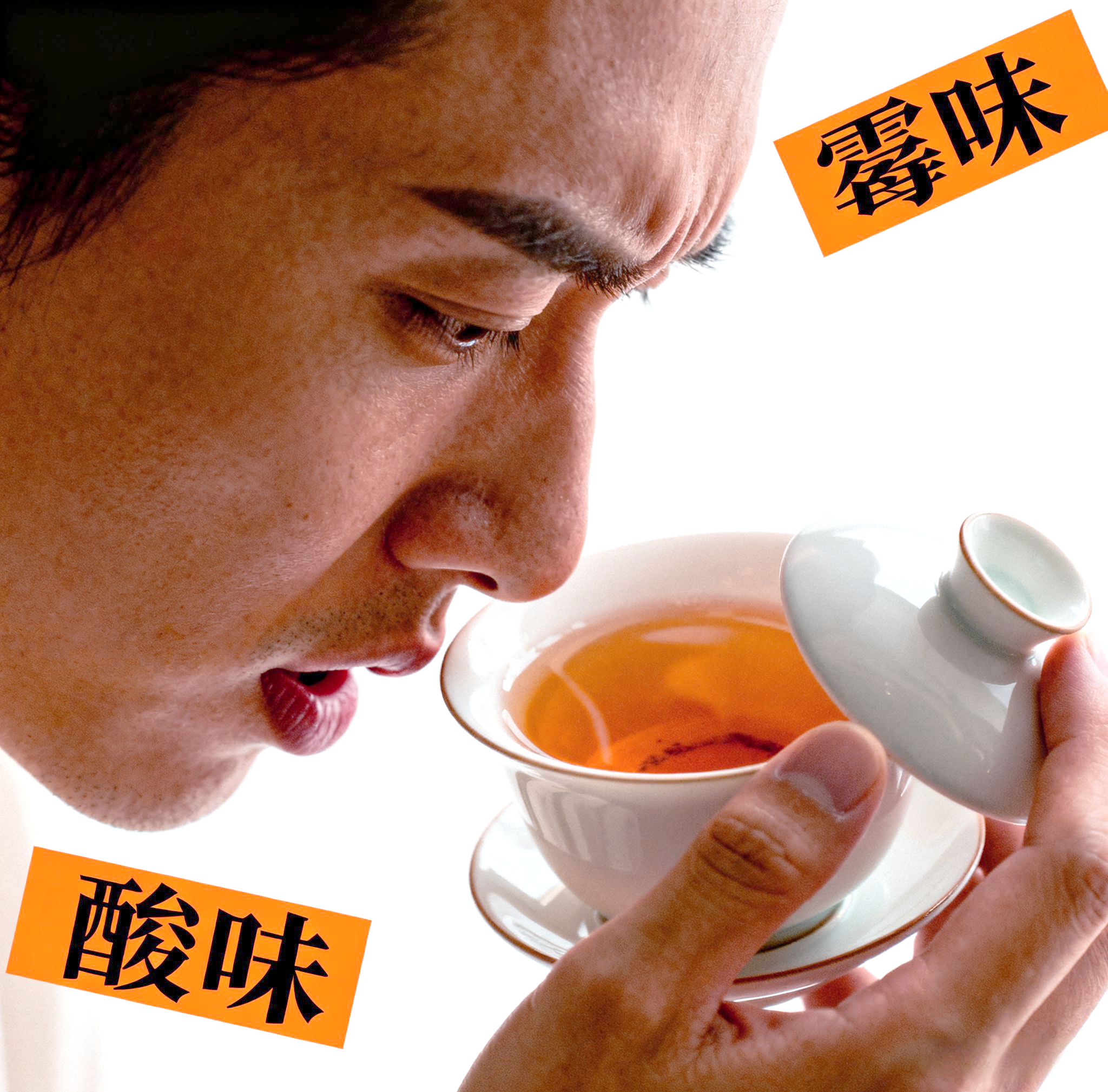 修车品茶QQ群:新手入门的避坑指南