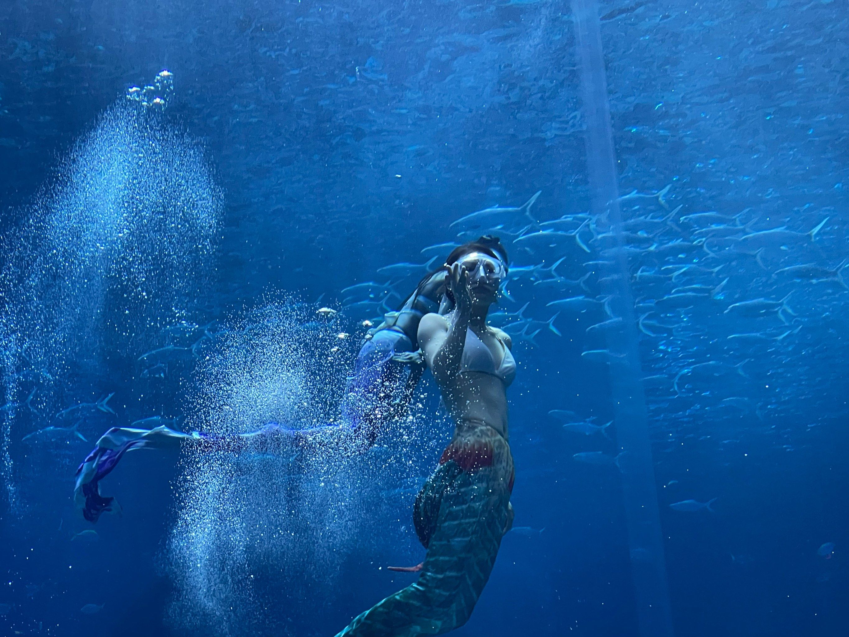 神秘海底博物馆 水族人雕塑暗藏玄机