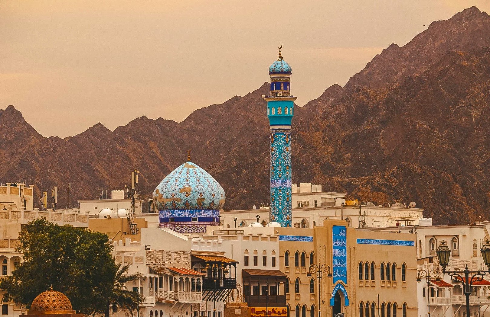 化工iis代表什么