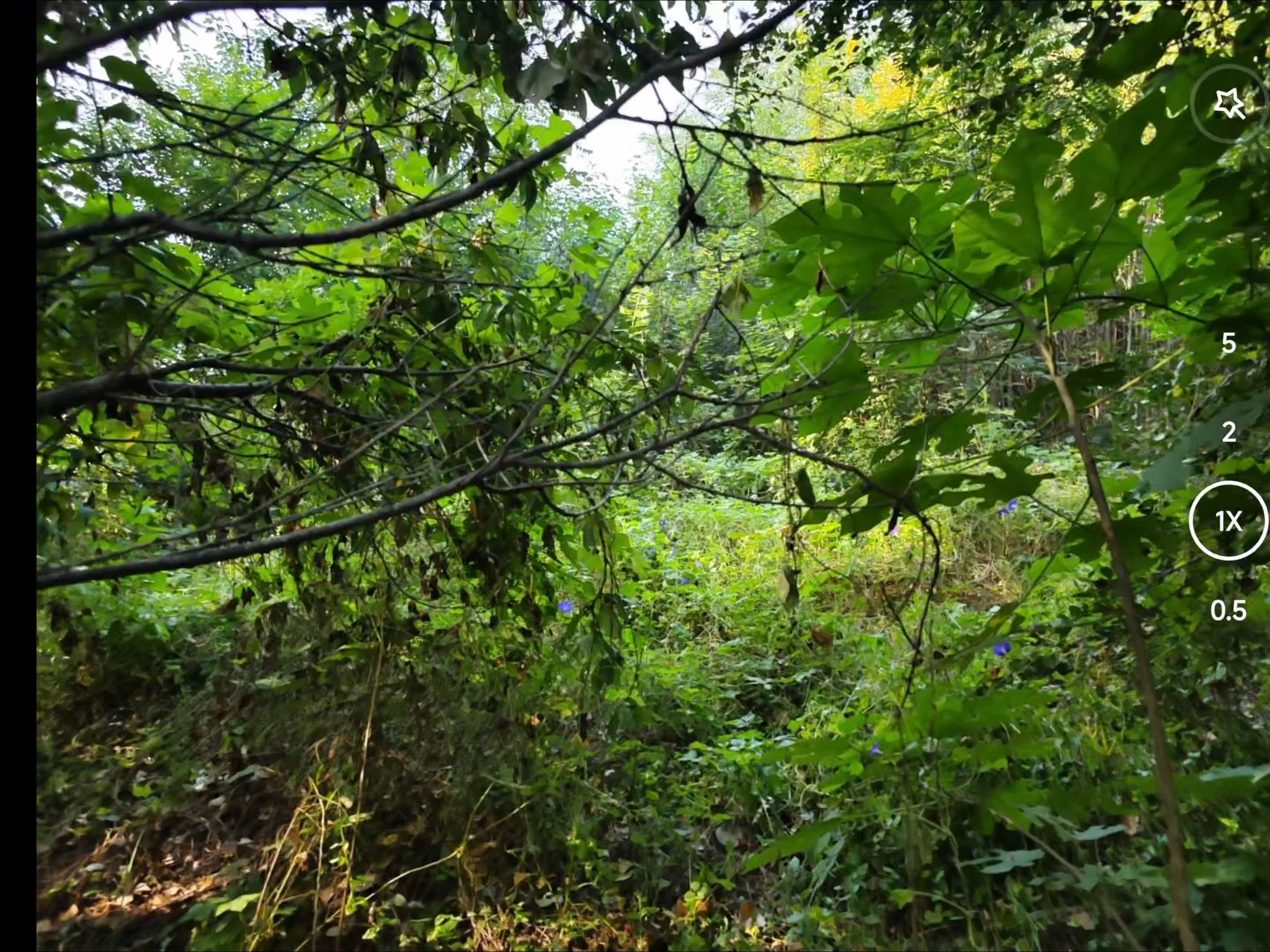 包头50元畅玩指南：小公园超值游玩全攻略