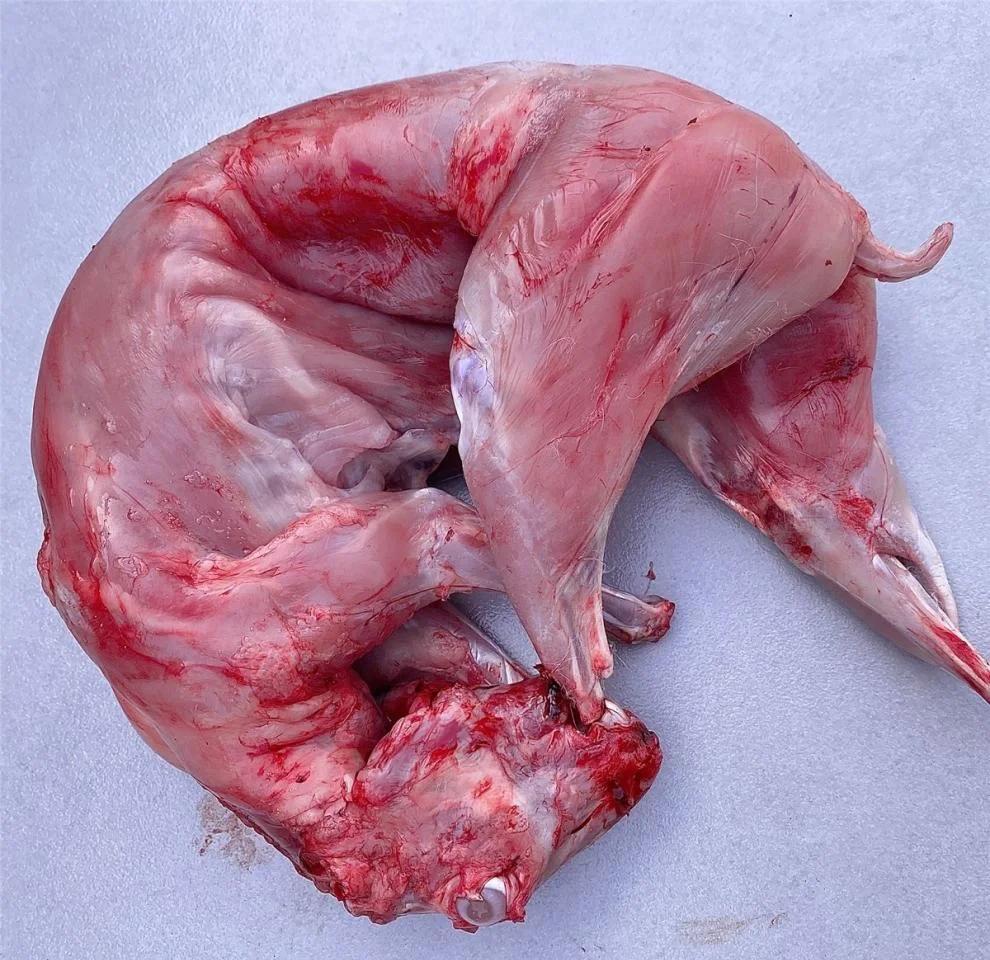 兔肉为什么被称为美容肉 荤中之素的营养价值