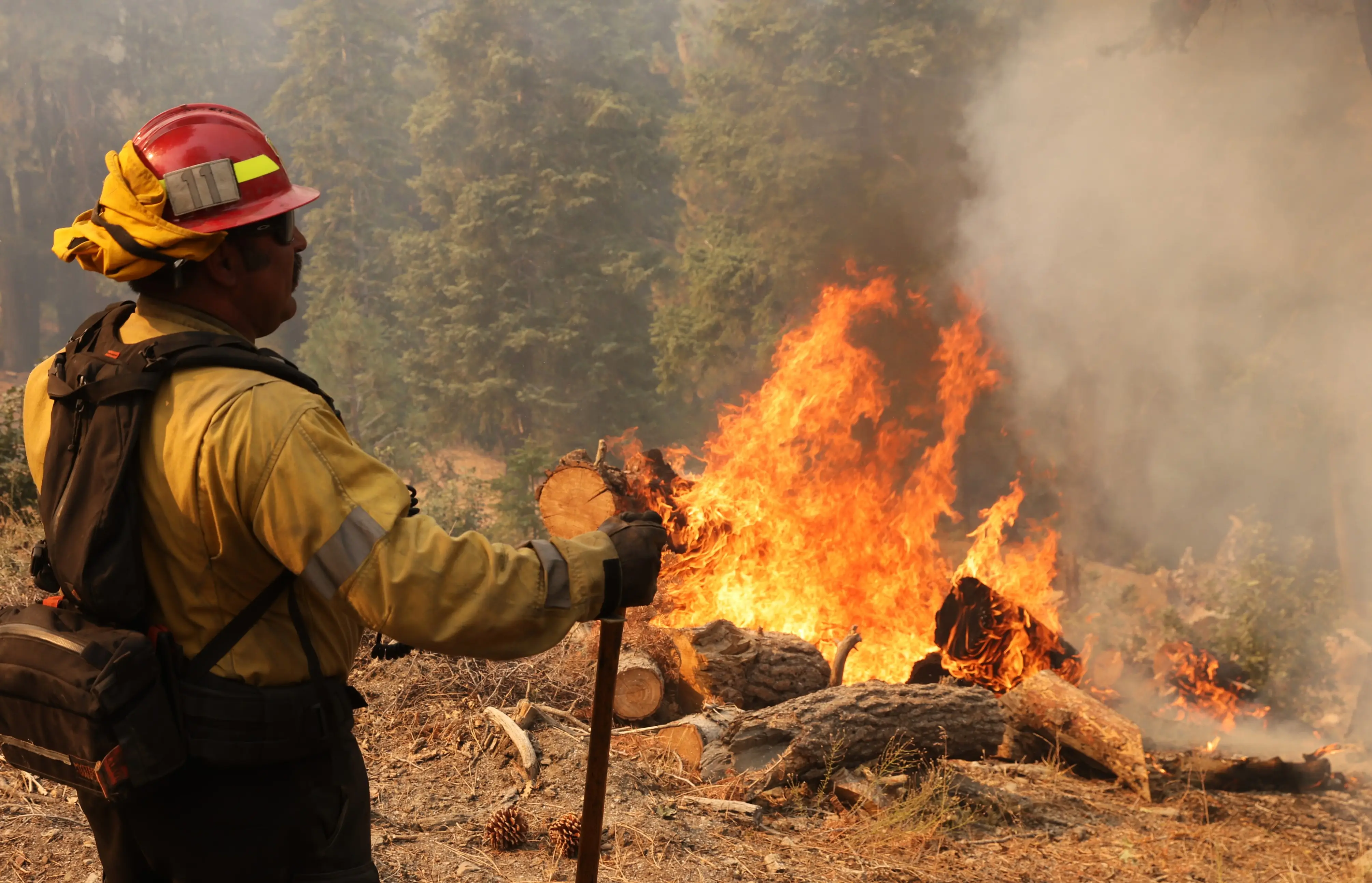美国加州山火扑灭情况 火灾原因与灾难影响